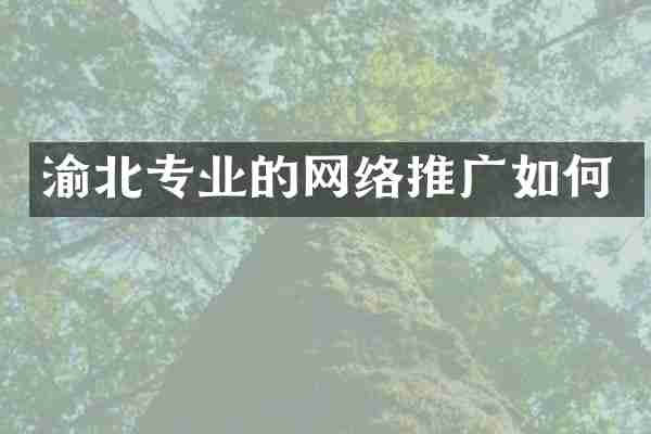 渝北专业的网络推广如何