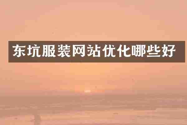 东坑服装网站优化哪些好