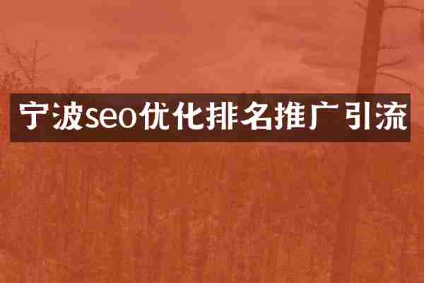 宁波seo优化排名推广引流