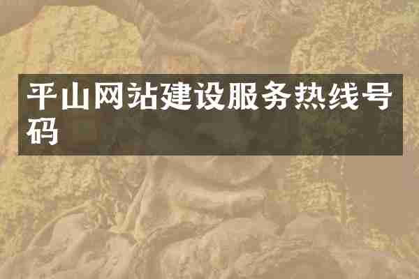 平山网站建设服务热线号码