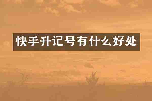 快手升记号有什么好处
