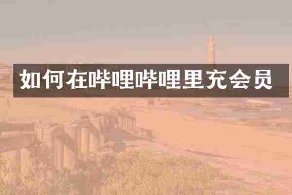 如何在哔哩哔哩里充会员