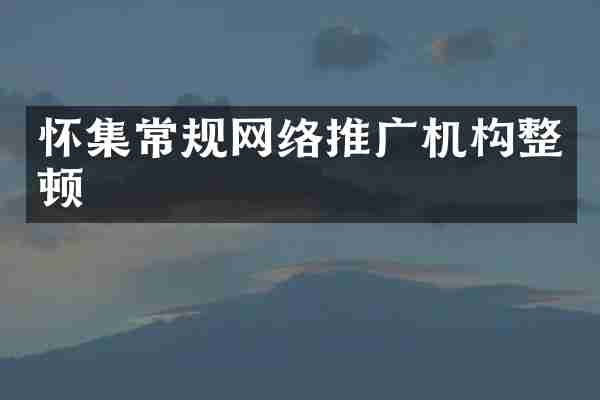 怀集常规网络推广机构整顿