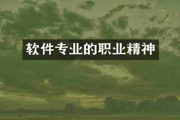 软件专业的职业精神