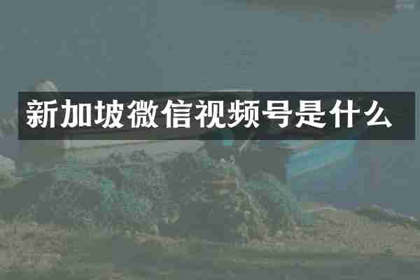 新加坡微信视频号是什么