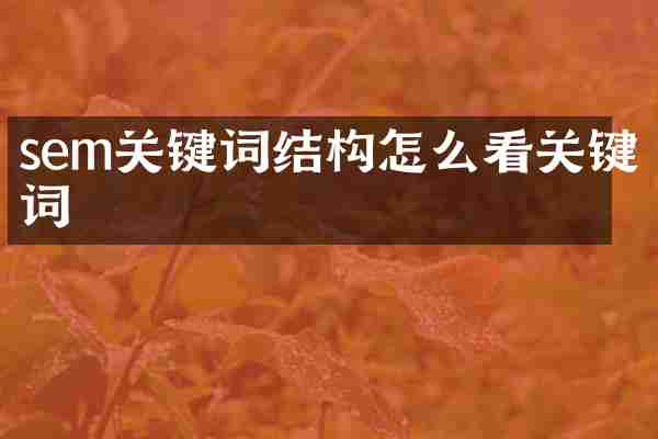 sem关键词结构怎么看关键词