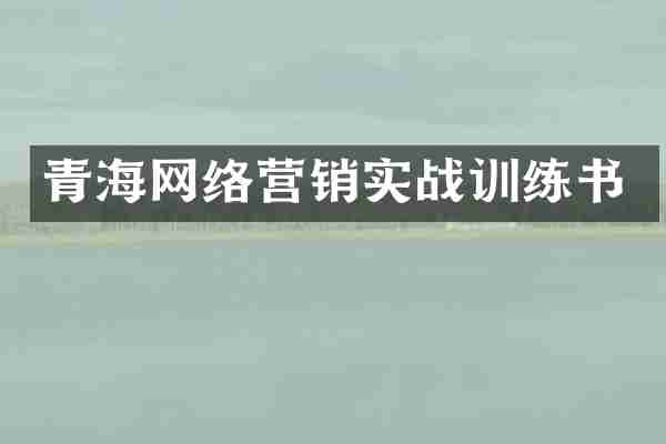 青海网络营销实战训练书