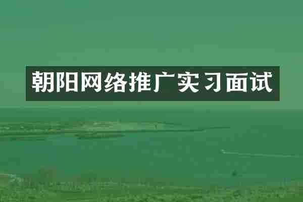 朝阳网络推广实习面试