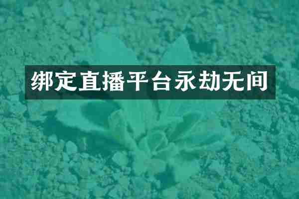 绑定直播平台永劫无间