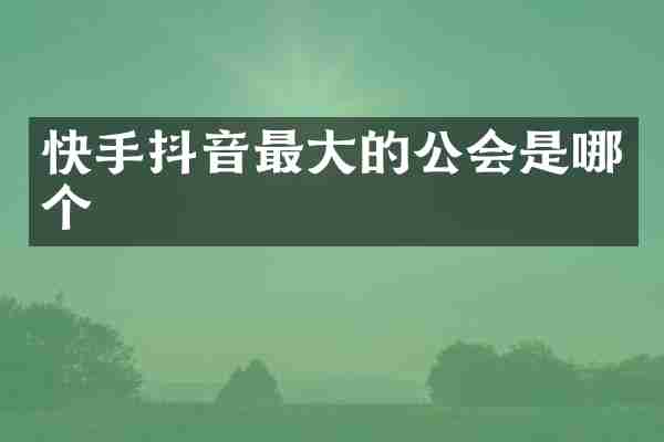 快手抖音最大的公会是哪个