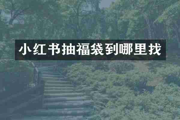 小红书抽福袋到哪里找