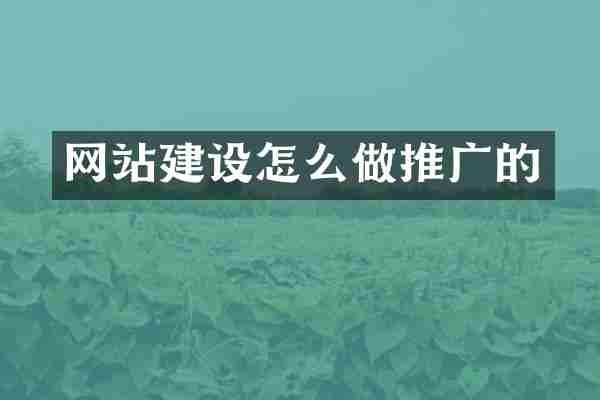 网站建设怎么做推广的