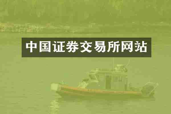 中国证券交易所网站