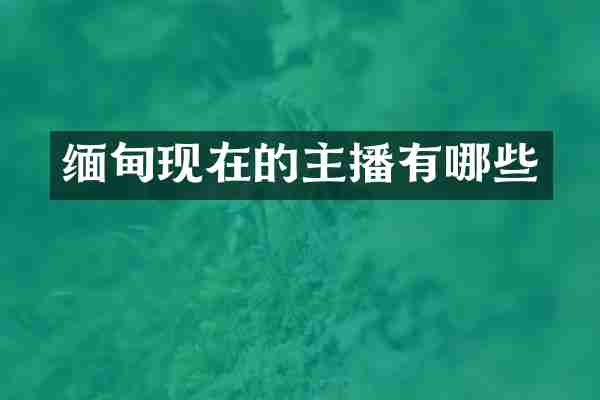 缅甸现在的主播有哪些