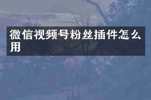 微信视频号粉丝插件怎么用