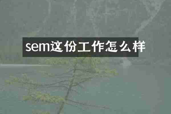 sem这份工作怎么样