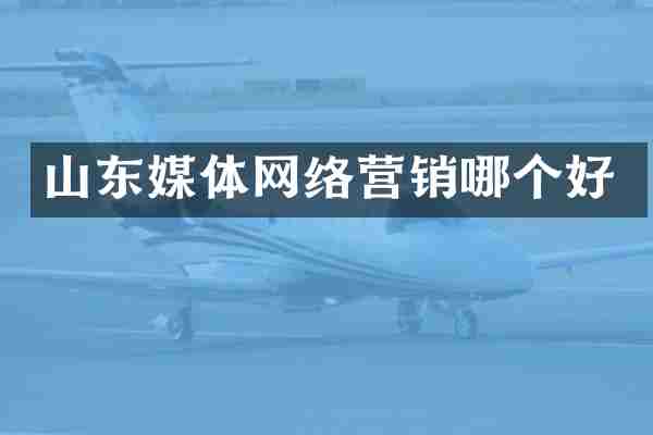 山东媒体网络营销哪个好