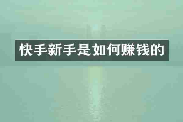 快手新手是如何赚钱的