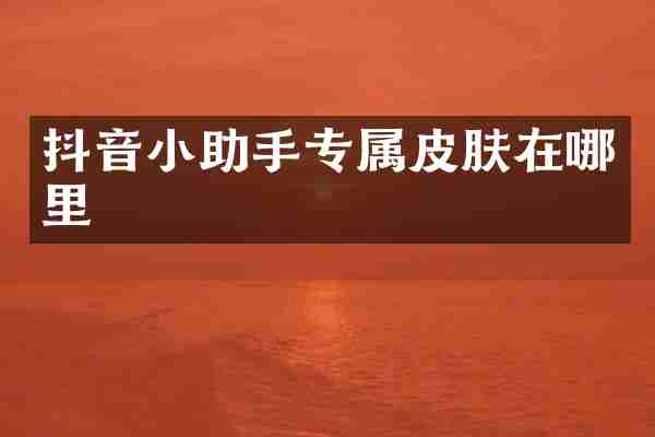 抖音小助手专属皮肤在哪里