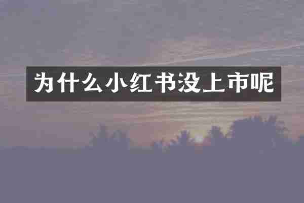 为什么小红书没上市呢