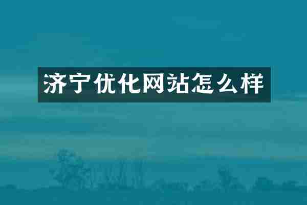 济宁优化网站怎么样