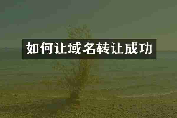 如何让域名转让成功