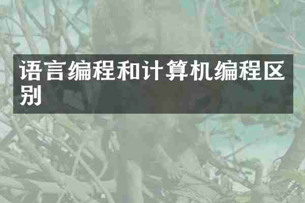 语言编程和计算机编程区别