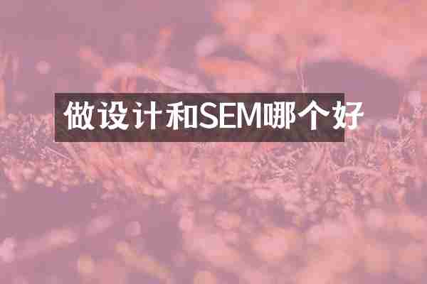 做设计和SEM哪个好