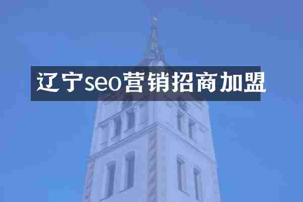辽宁seo营销招商加盟