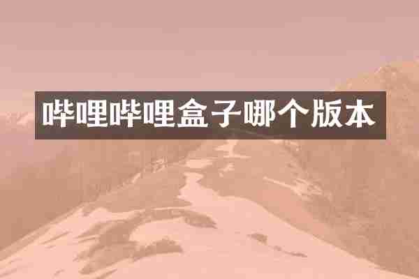 哔哩哔哩盒子哪个版本
