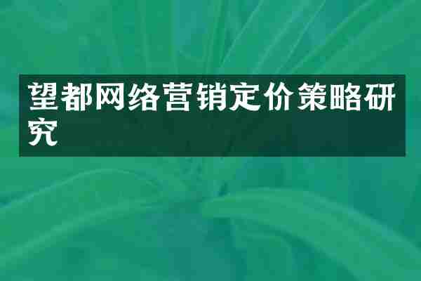 望都网络营销定价策略研究