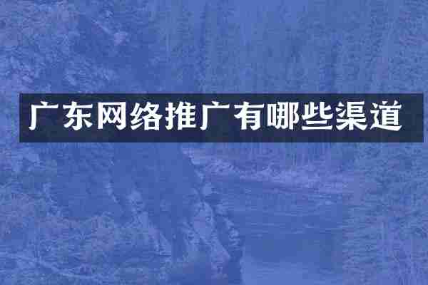 广东网络推广有哪些渠道