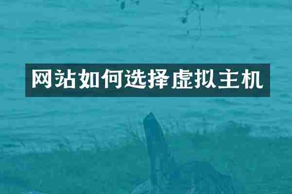 网站如何选择虚拟主机