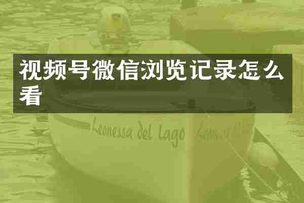 视频号微信浏览记录怎么看
