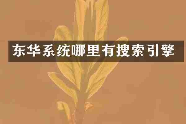 东华系统哪里有搜索引擎