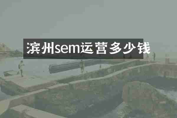 滨州sem运营多少钱
