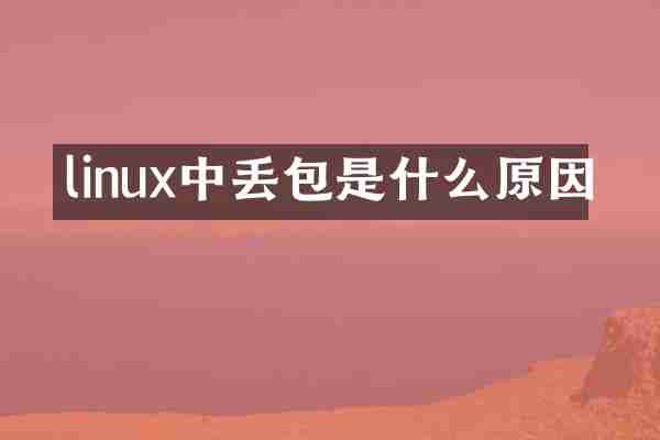 linux中丢包是什么原因