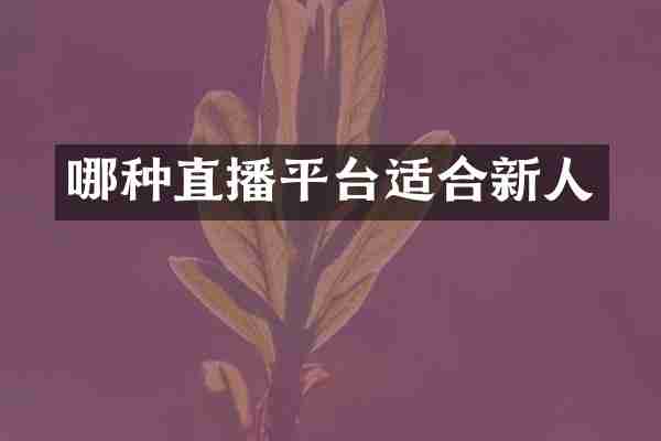 哪种直播平台适合新人