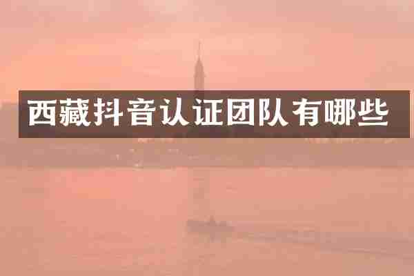 西藏抖音认证团队有哪些