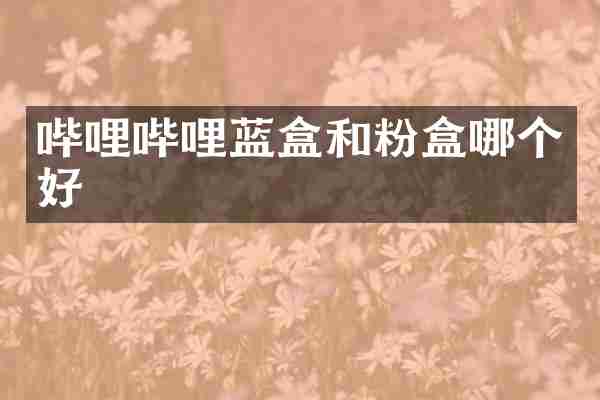 哔哩哔哩蓝盒和粉盒哪个好