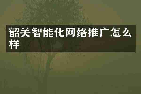 韶关智能化网络推广怎么样
