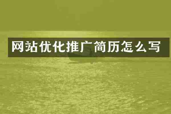 网站优化推广简历怎么写