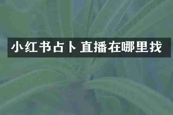 小红书占卜直播在哪里找