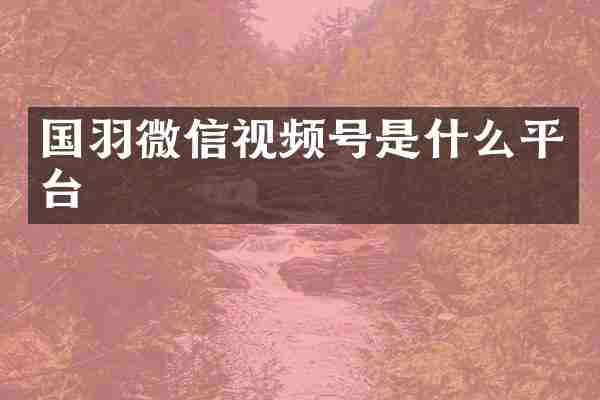 国羽微信视频号是什么平台