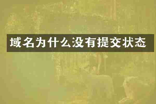 域名为什么没有提交状态