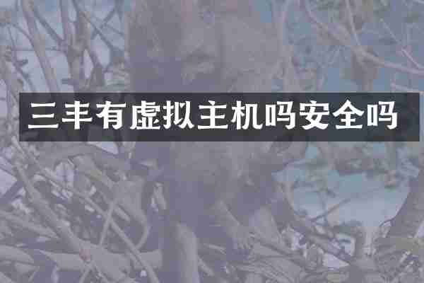 三丰有虚拟主机吗安全吗
