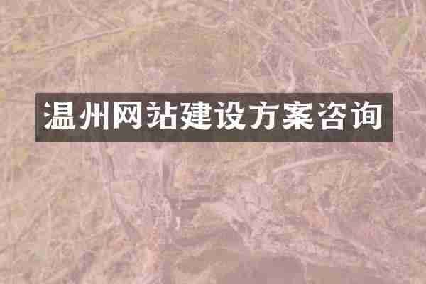 温州网站建设方案咨询