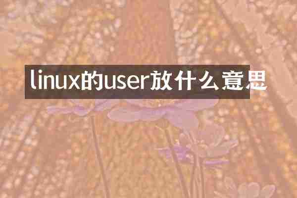 linux的user放什么意思