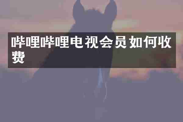哔哩哔哩电视会员如何收费