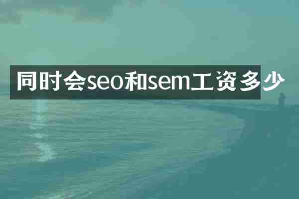 同时会seo和sem工资多少